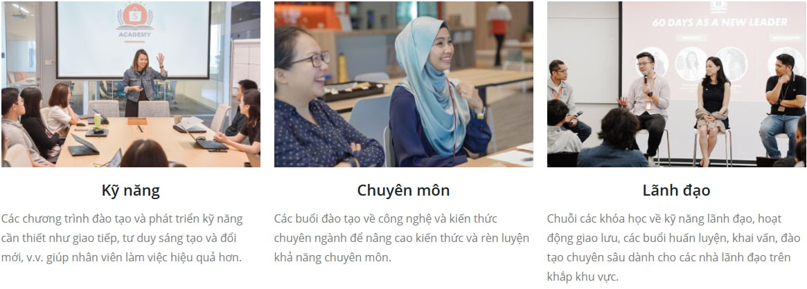 Các chương trình đào tạo kỹ năng, chuyên môn và lãnh đạo